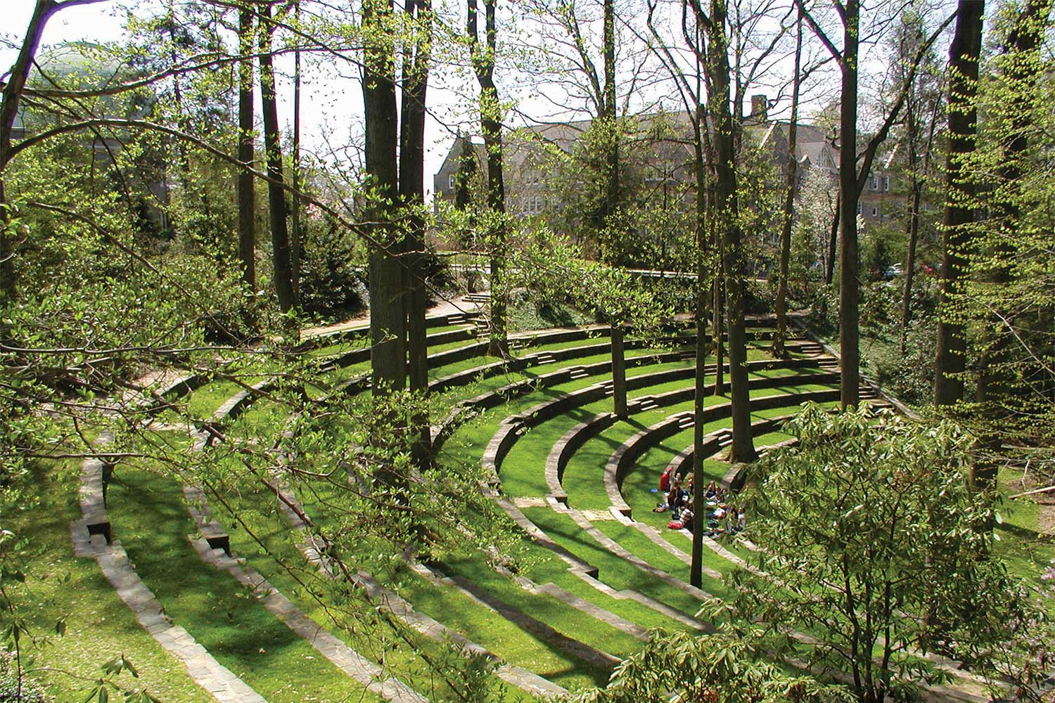 grass amphitheater with students sitting