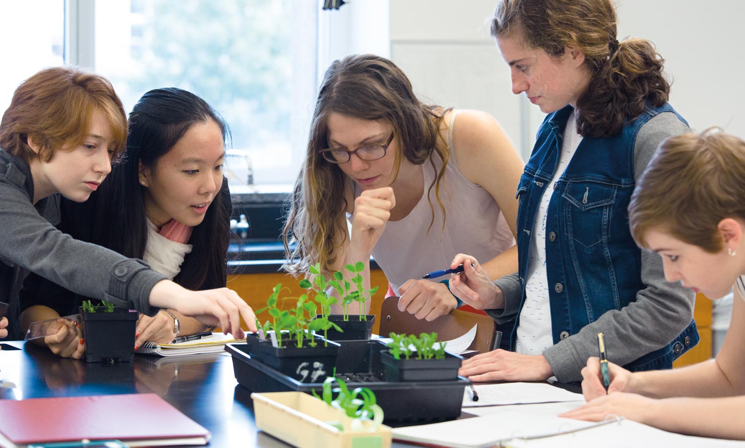 Students in biology class looking at growing plants