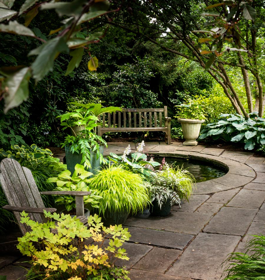 garden with pond and bench