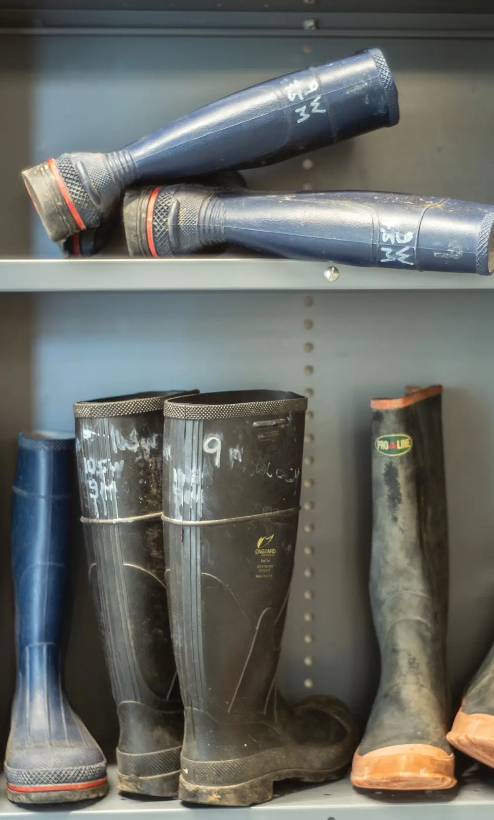 Group of some rubber boots displayed on a grey colored metal locker shelf (pairs in rusty/dirty all-black, black/tan, and blue/red)