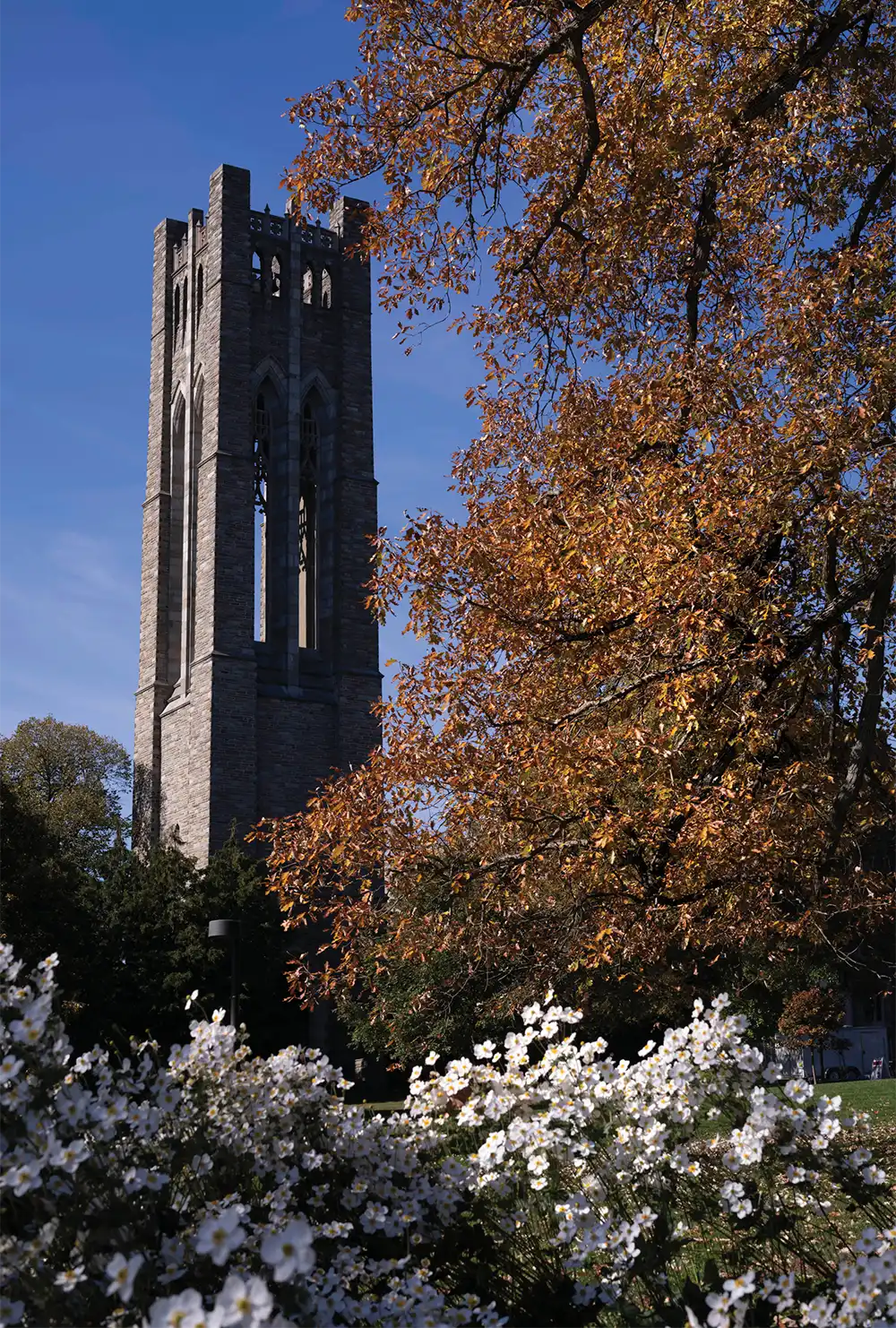 exterior of a tower at Swarthmore College