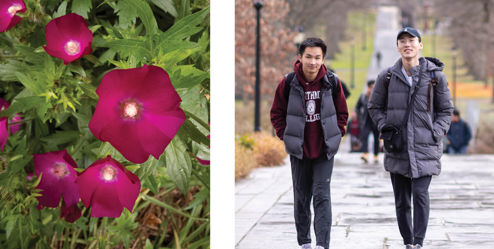 close up of purple flowers; students walking on the sidewalk