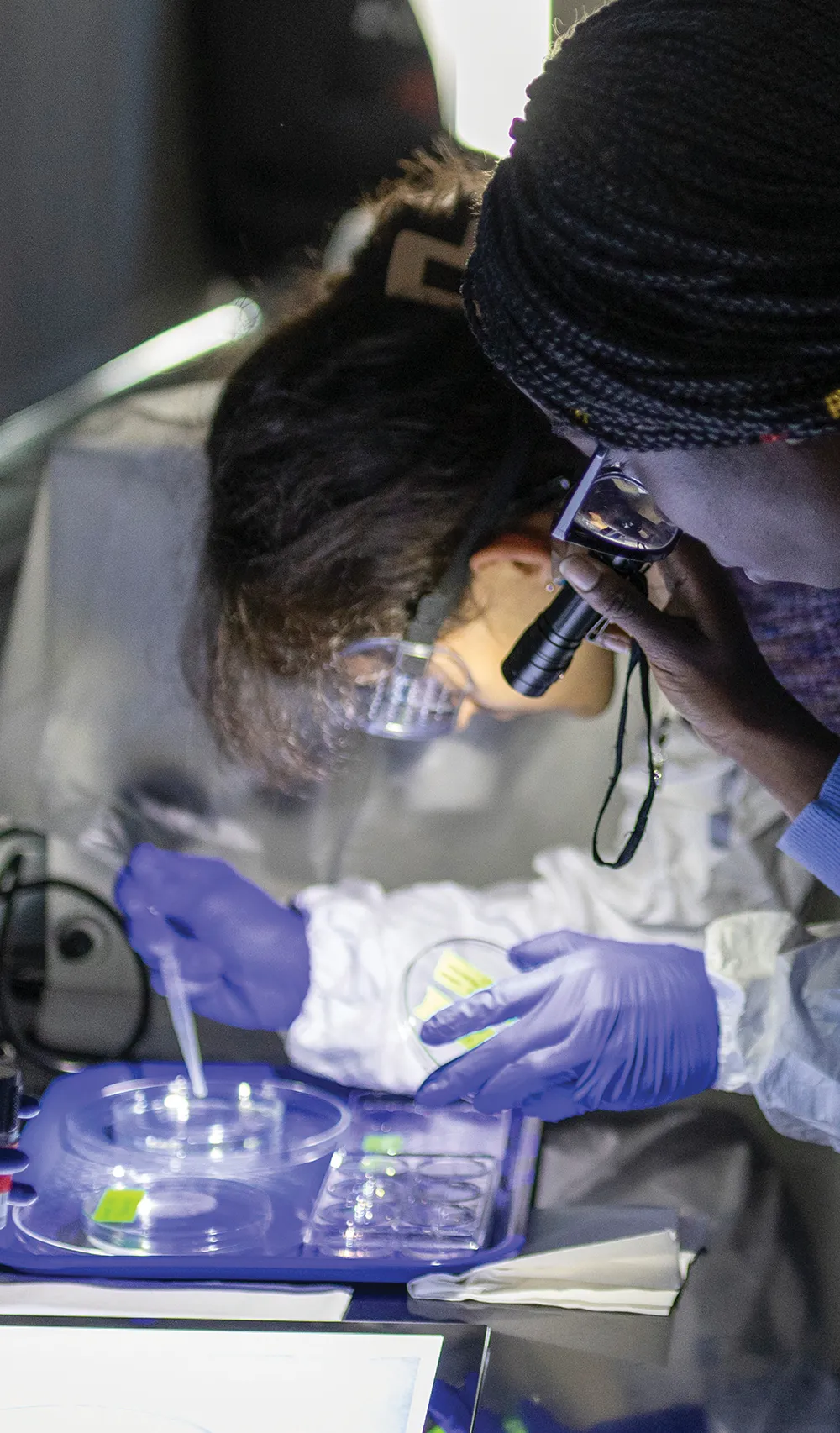 students working in a lab