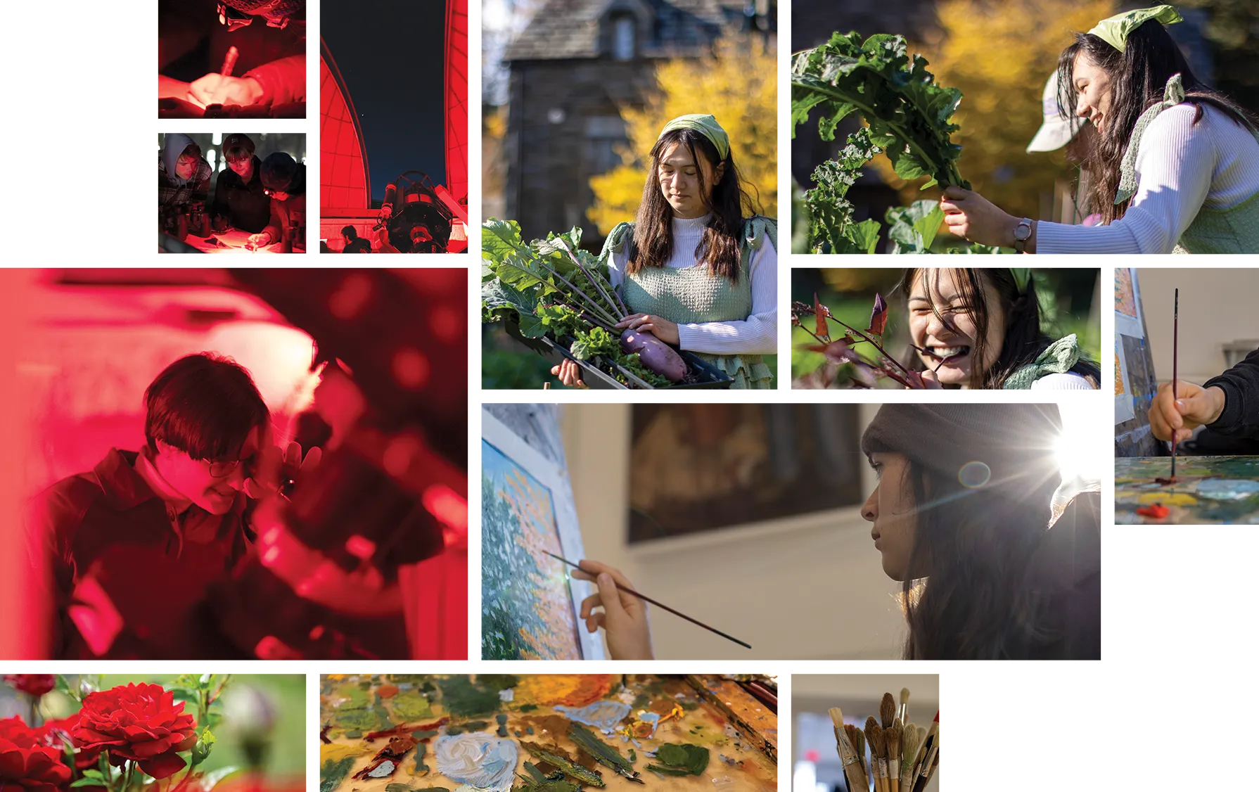 collage of images featuring Swarthmore students doing what they are passionate about