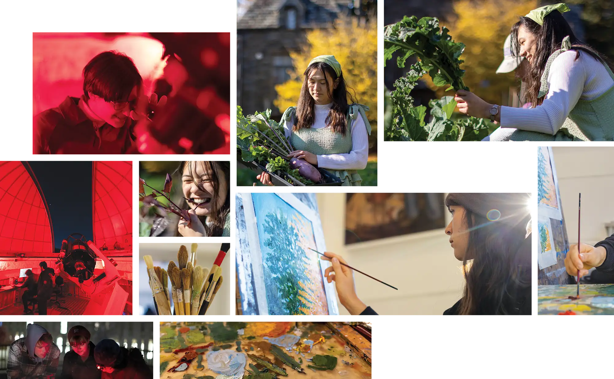collage of images featuring Swarthmore students doing what they are passionate about