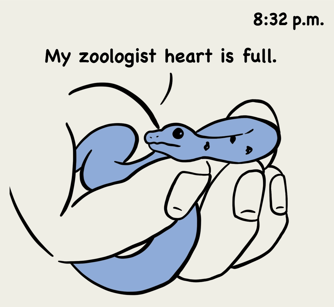 8:32 p.m.: illustration of a hand holding a snake