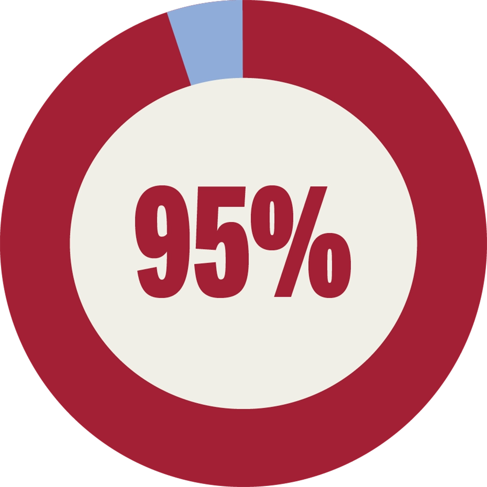 A circular donut chart showing 95 percent in a dark red section and 5 percent in light blue, with "95%" text in the center.