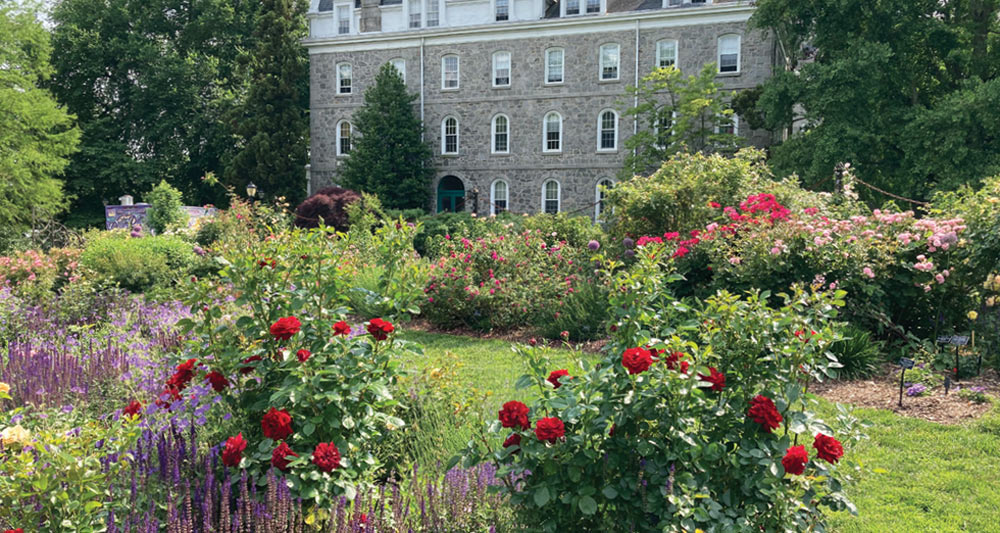 A vibrant garden filled with red roses and purple flowers stands in front of a historic stone campus building.