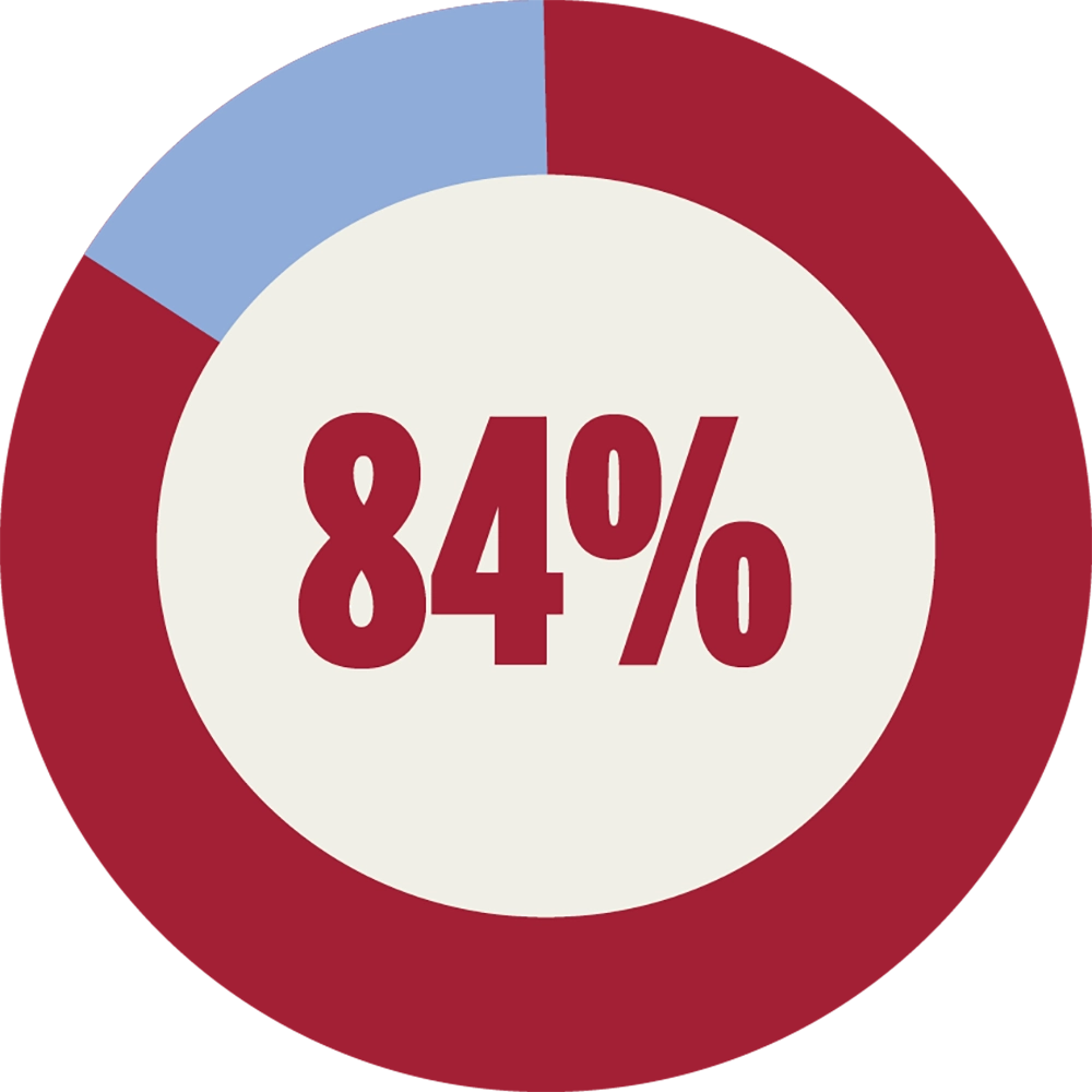 84% circle graph