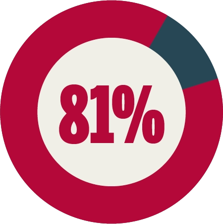 Circular donut chart with 81 percent in red and 19 percent in dark grey, featuring "81%" in the center.