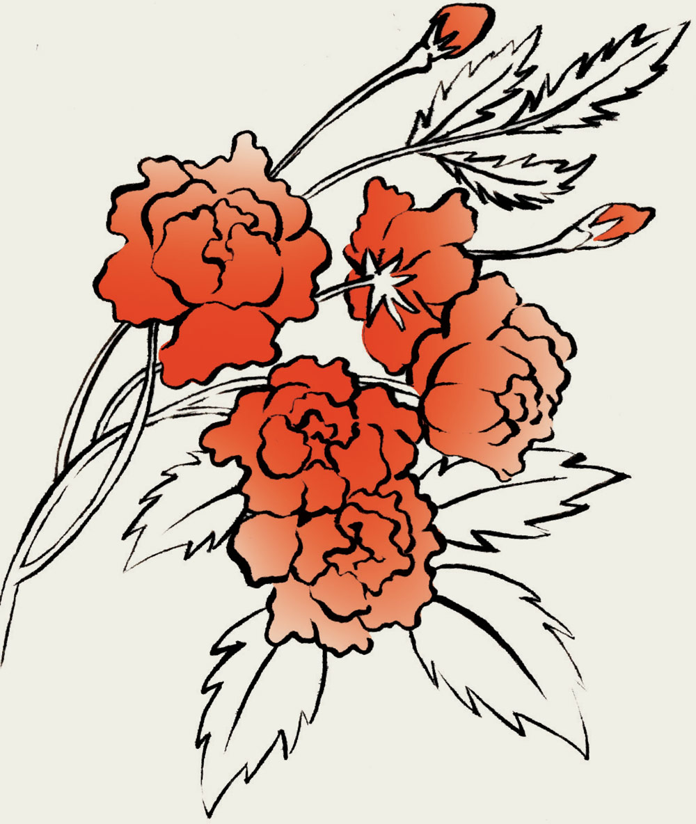 a digital illustration of Lady Banks’ Roses