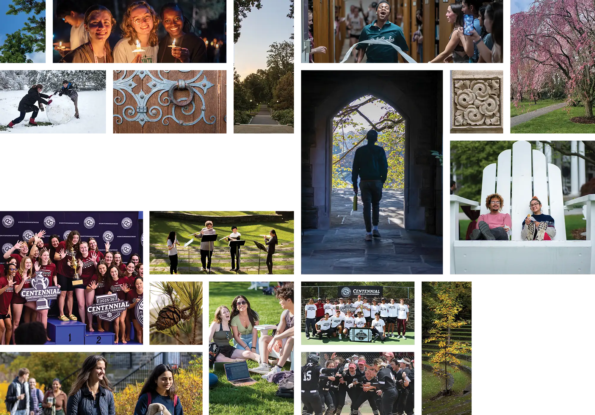 A collage of campus life images showing students studying, walking, performing music, celebrating athletic wins, and scenic campus nature.