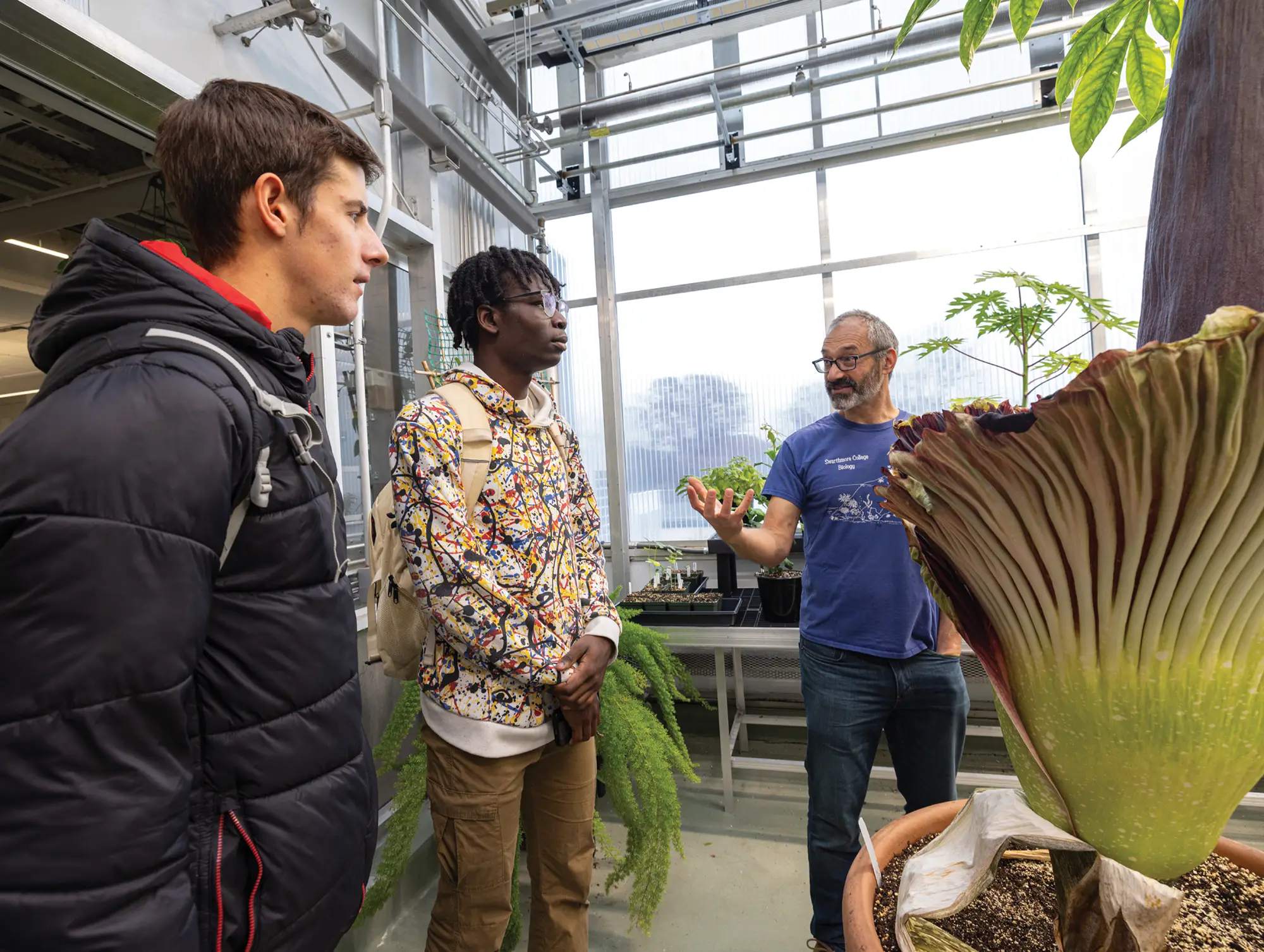 A biology professor gestures while teaching two students about a large corpse flower plant inside a campus greenhouse.
